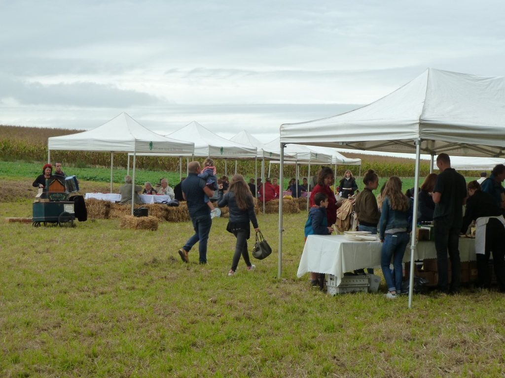 fête du Vexin Animation champêtre